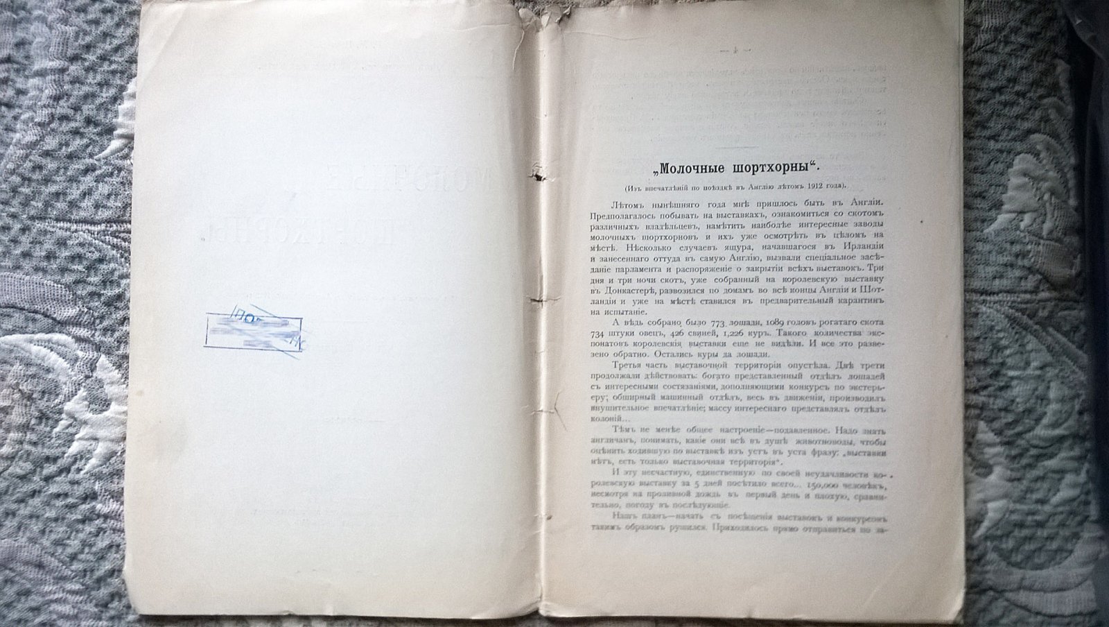 Щепкин М.М. Молочные шортхорны.