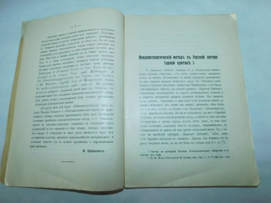 Шайкевич М., д-р мед. Психопатология и литература.