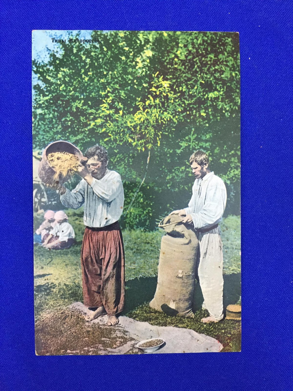 Типы Малороссии. Просеивание зерна.