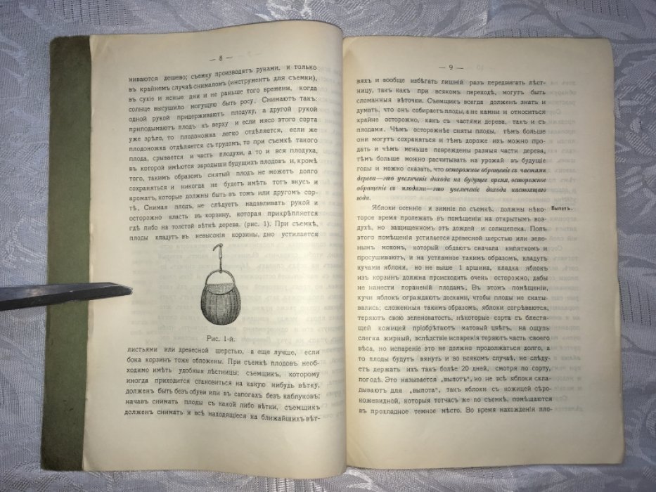 Клейн Х.И. Время, способы съемки и упаковка плодов и ягод.