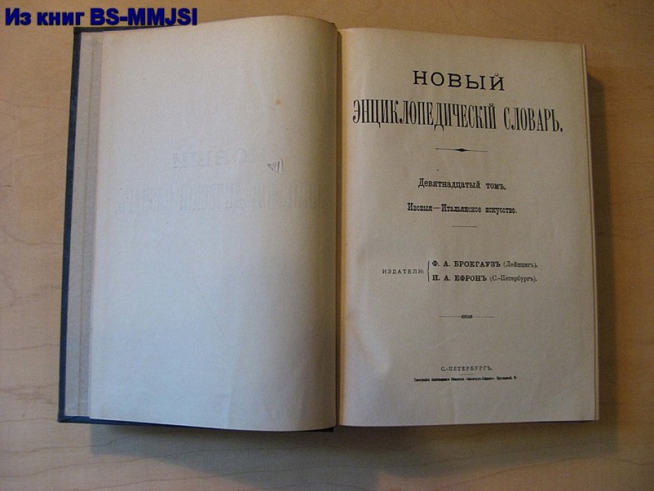 Брокгауз, Ефрон. Новый энциклопедический словарь. Том 19. (Ивовые – Итальянское искусство).