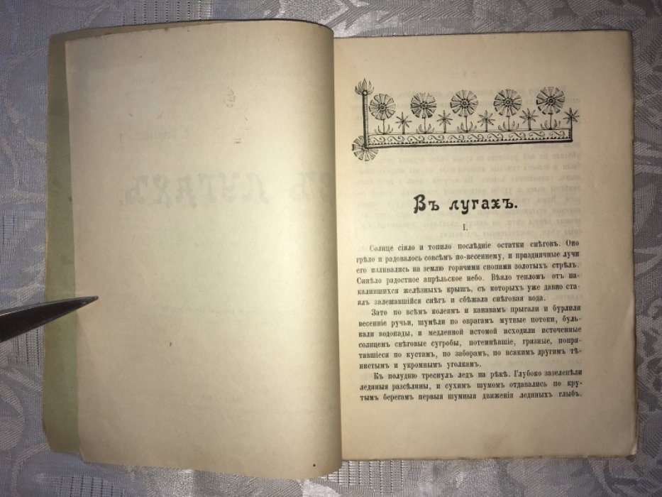 Покровский С. В лугах.