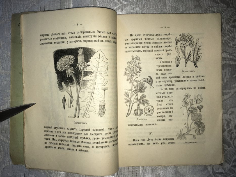 Покровский С. В лугах.