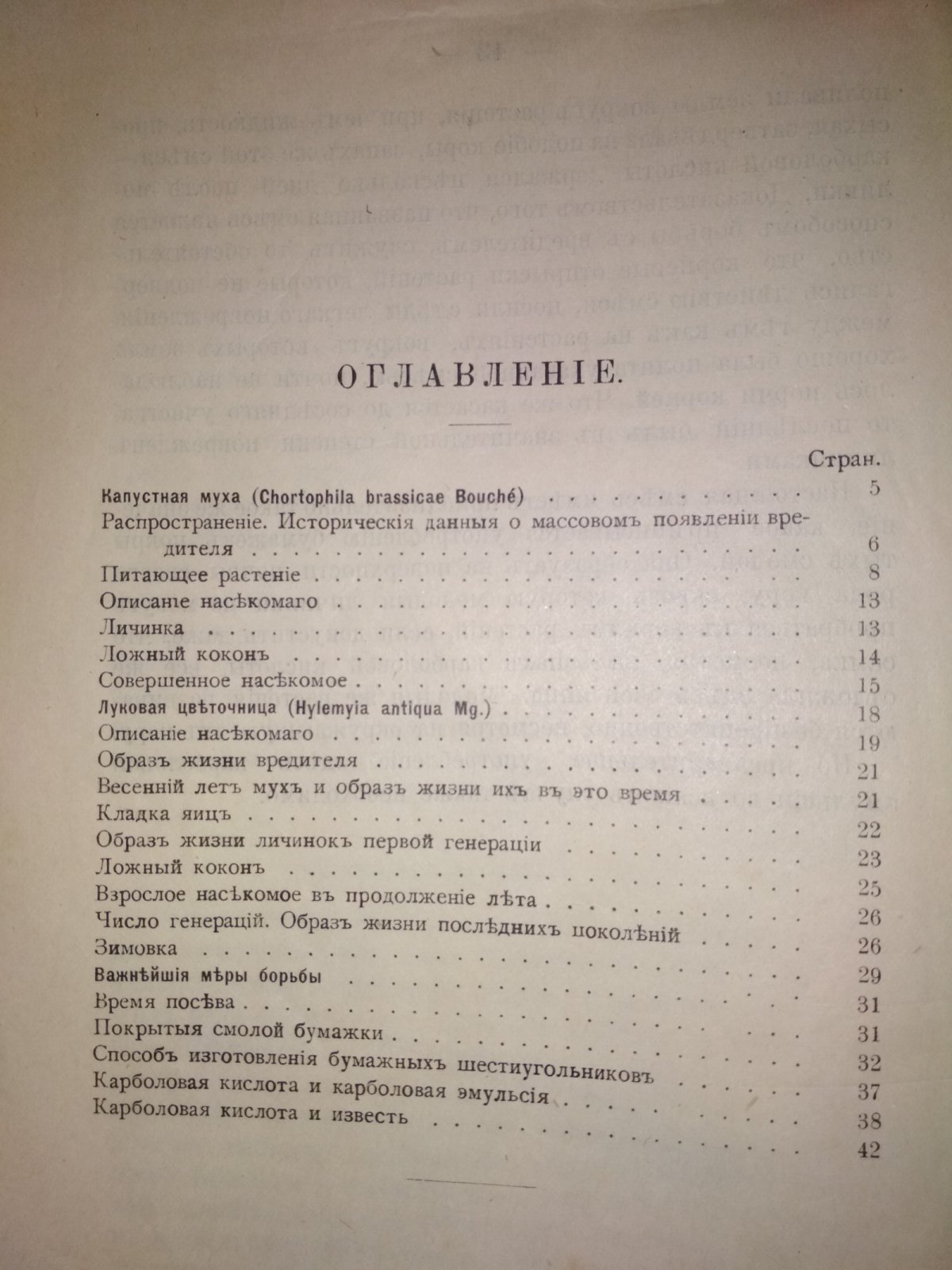 Капустная муха и луковая цветочница их жизнь, свойства и способы борьбы с ними.