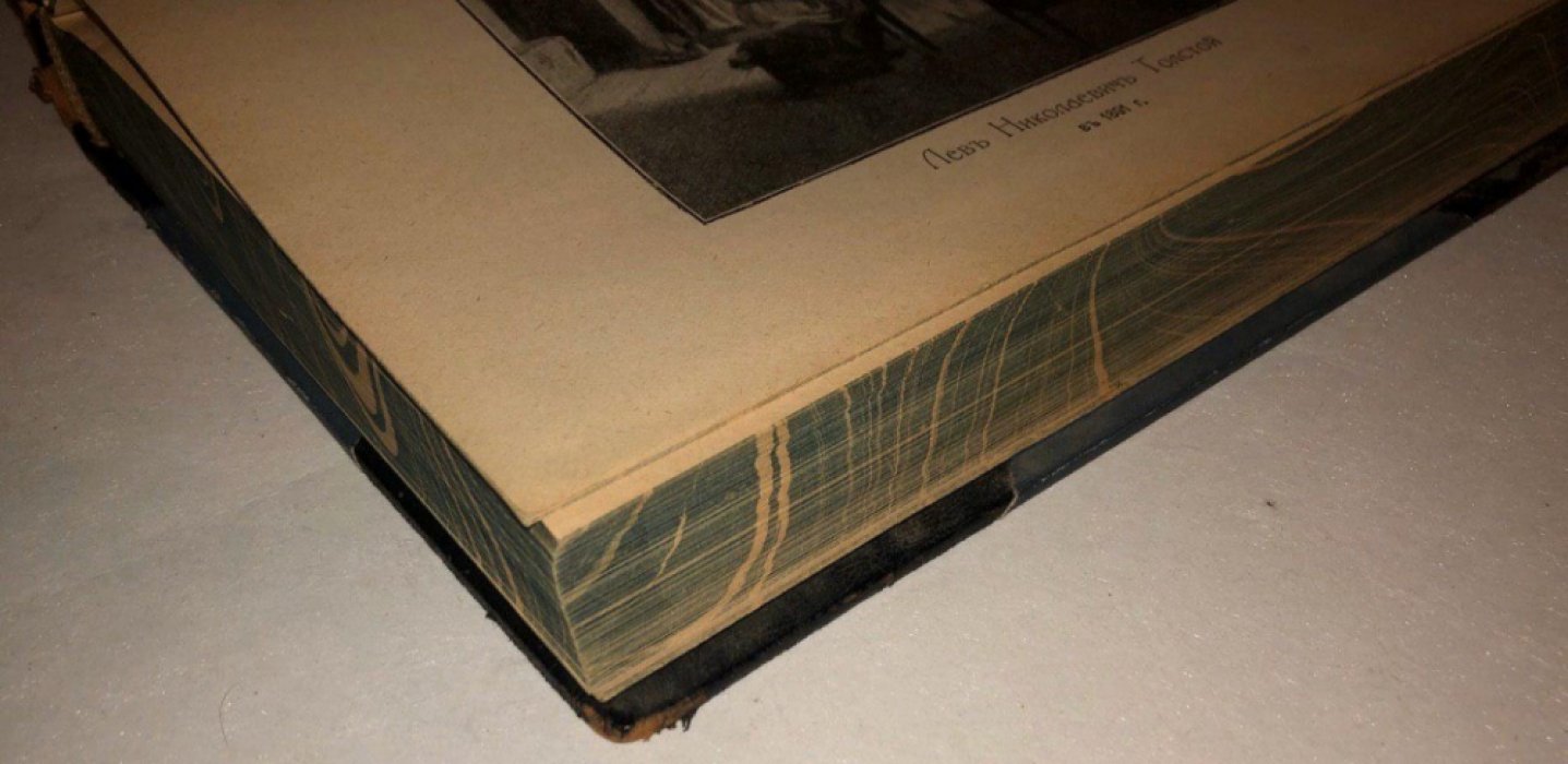 Толстой Л.Н. Полное собрание сочинений. Том 19-20: Что такое искусство? О Шекспире и о драме. Записки сумасшедшего. Что я видел во сне.