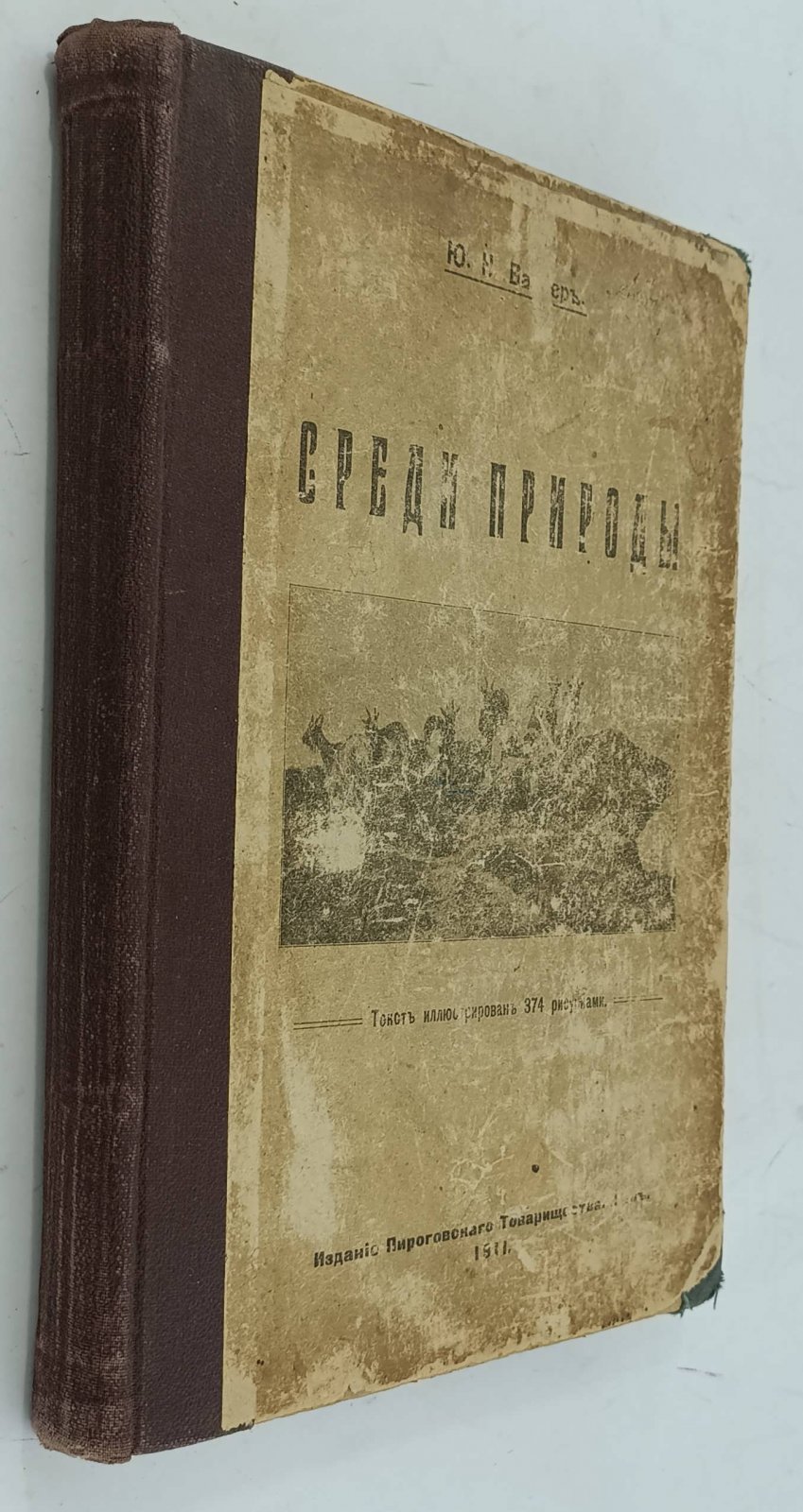 Вагнер Ю.Н. Среди природы.