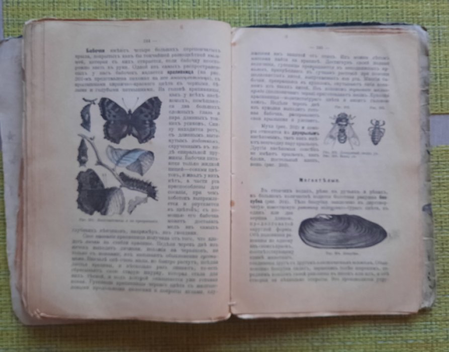 Иванцов Н.А. Природоведение. Первоначальное знакомство с явлениями природы путем наблюдений и опытов.