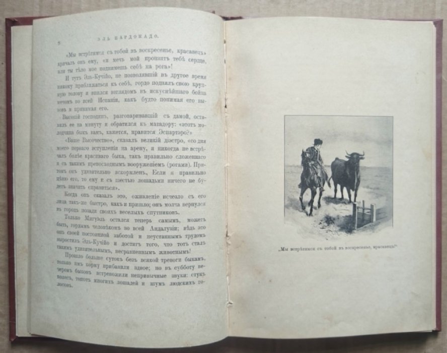 Наши дикие собратья.
