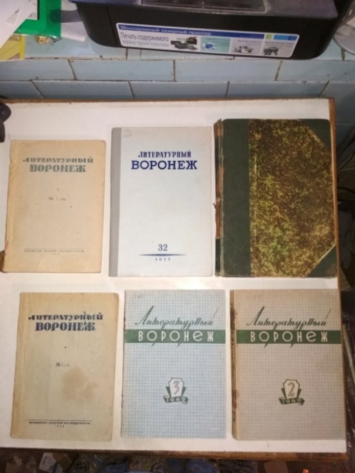 Литературно-художественные альманахи издательства «Шиповник».
