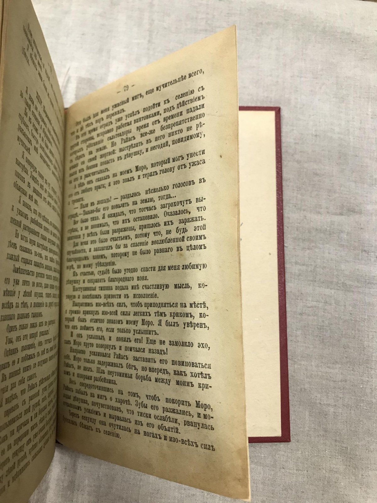 Майн Рид Т. Приключения Ганса Стерка - Вождь гверильянов.
