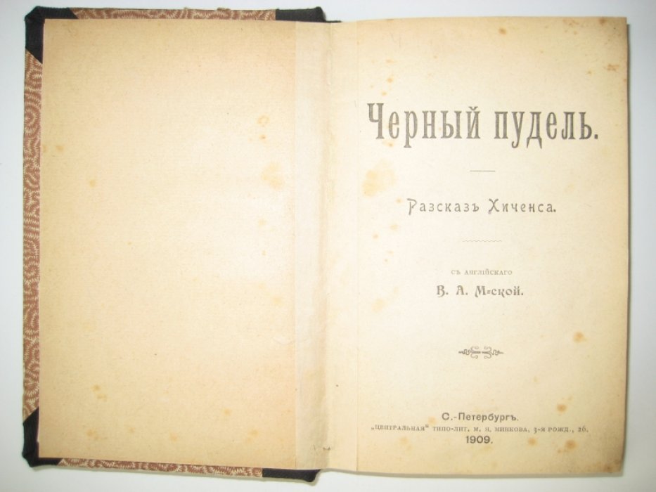 Хиченс. Черный пудель.