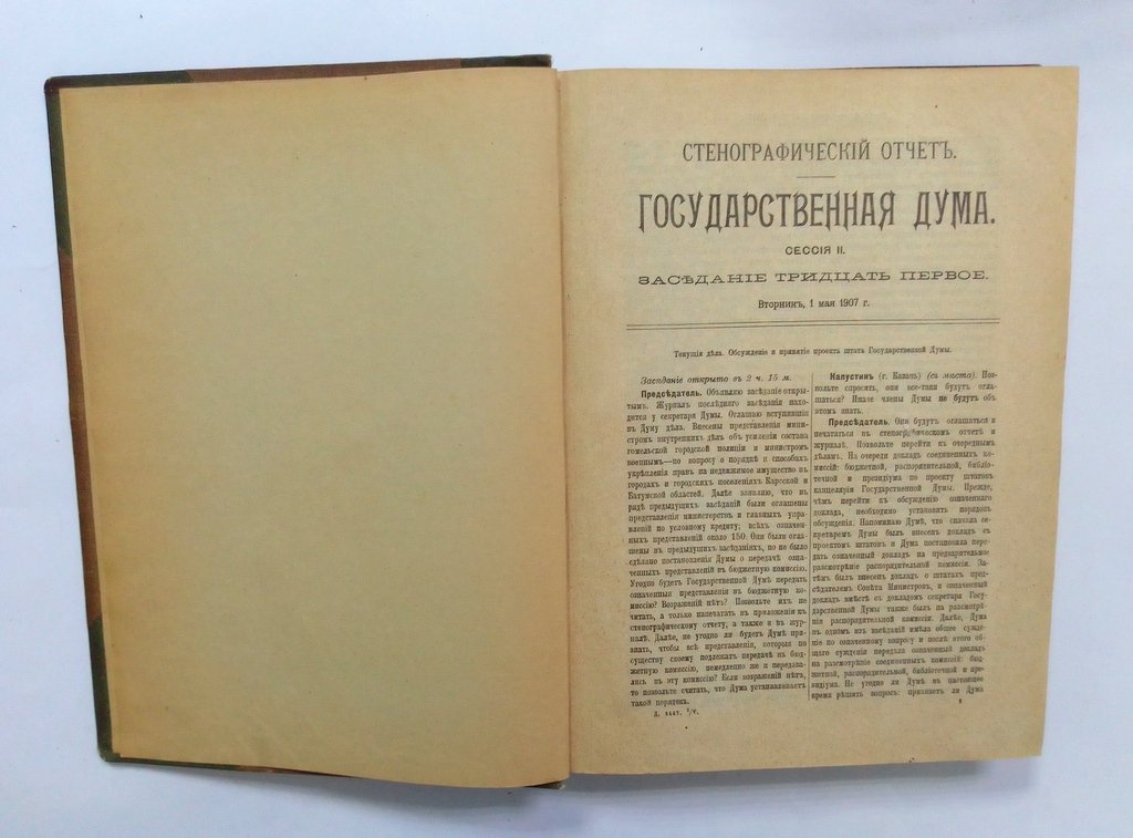 Стенографический отчет.