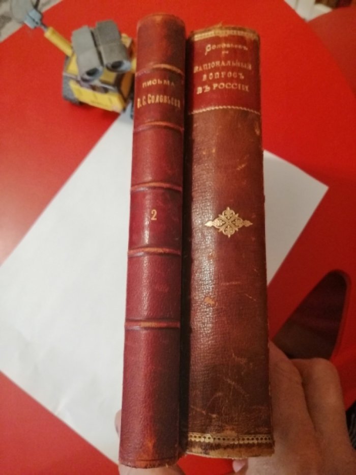 Соловьев В.С. Письма Владимира Сергеевича Соловьева. Том 2-й.