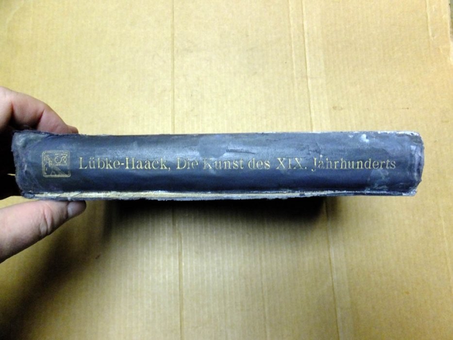 Haack F. Искусство 19 столетия (Die Kunst XIX Jahrhunderts).
