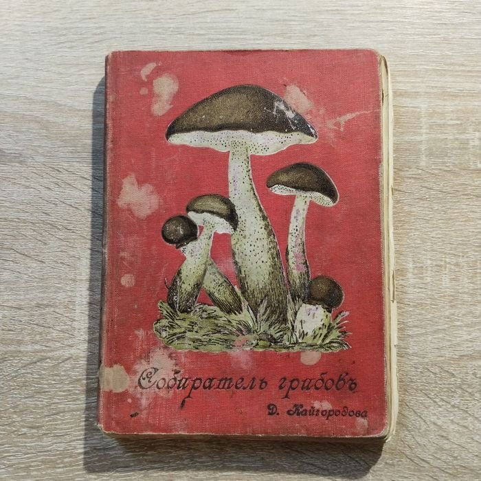 Кайгородов Дм. Собиратель грибов. С 14-ю раскрашенными (литографированными) таблицами. Карманная книжка, содержащая в себе описание важнейших, съедобных, ядовитых и сомнительных грибов, растущих в России.