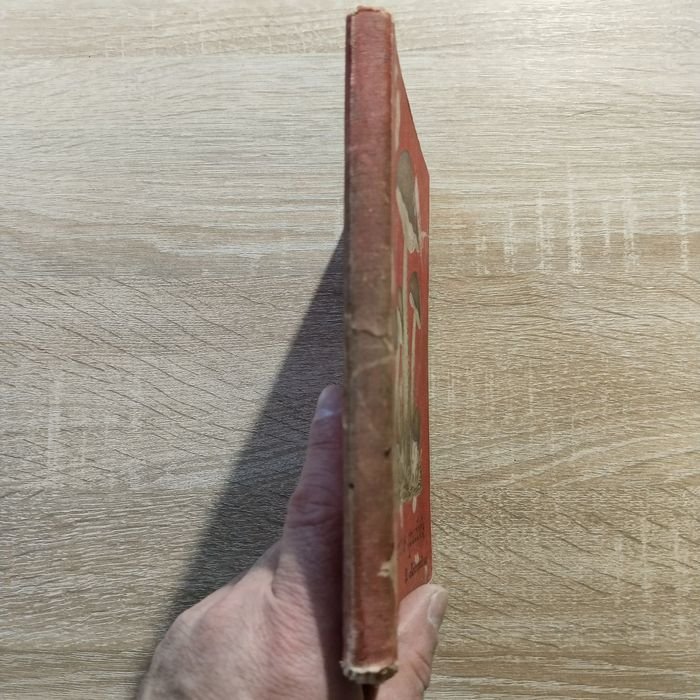 Кайгородов Дм. Собиратель грибов. С 14-ю раскрашенными (литографированными) таблицами. Карманная книжка, содержащая в себе описание важнейших, съедобных, ядовитых и сомнительных грибов, растущих в России.