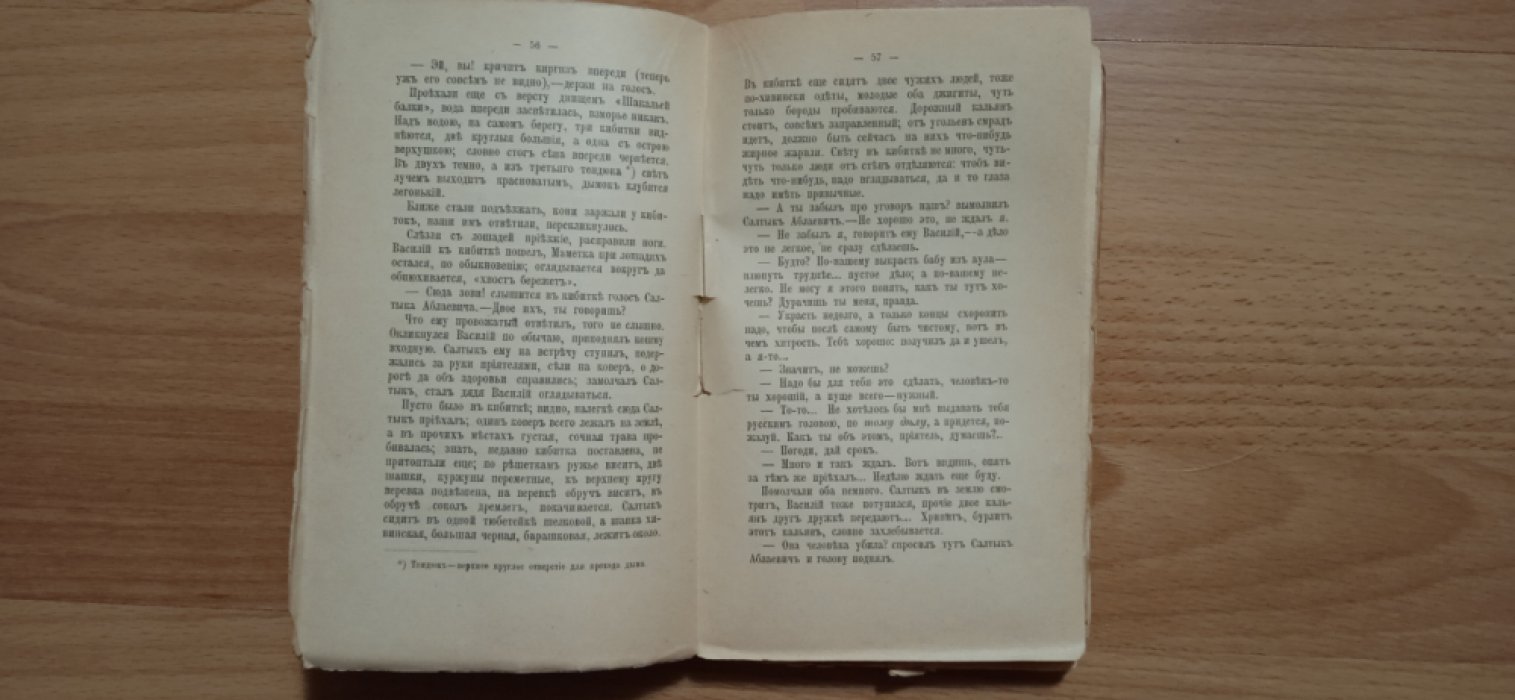 Каразин Н.Н. С Севера на Юг.