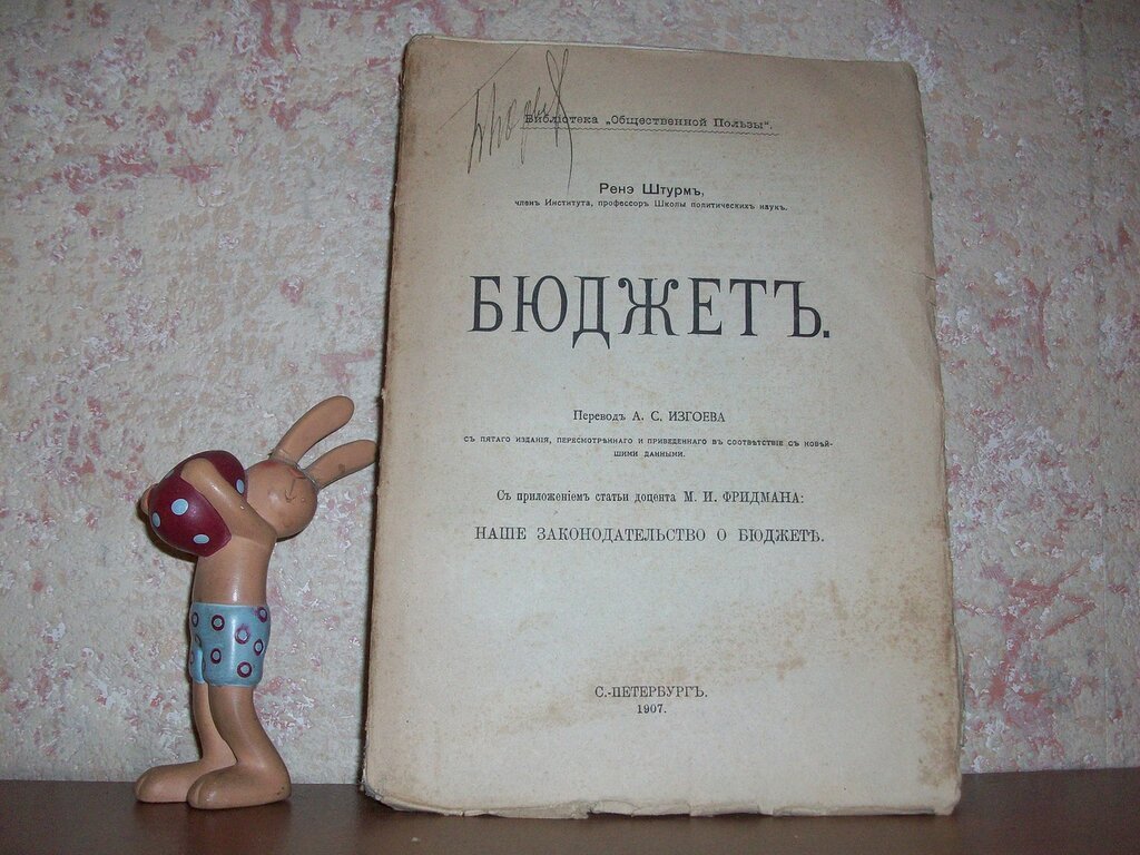 Штурм Ренэ. Бюджет. Часть книги: Первые 480 с из 600.