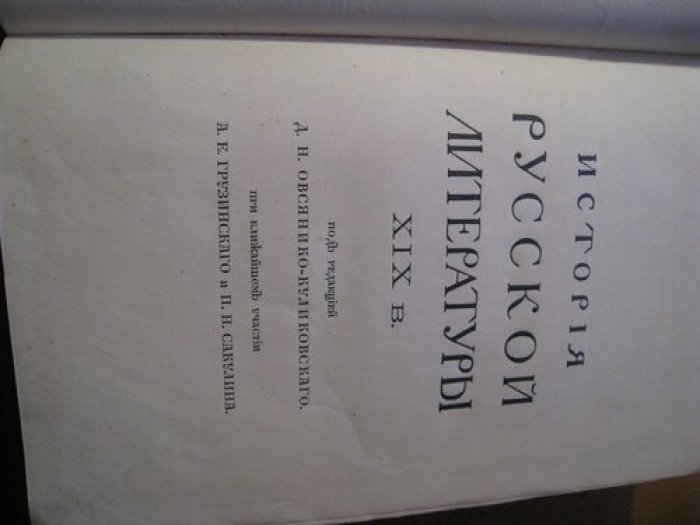 История русской литературы XIX века.