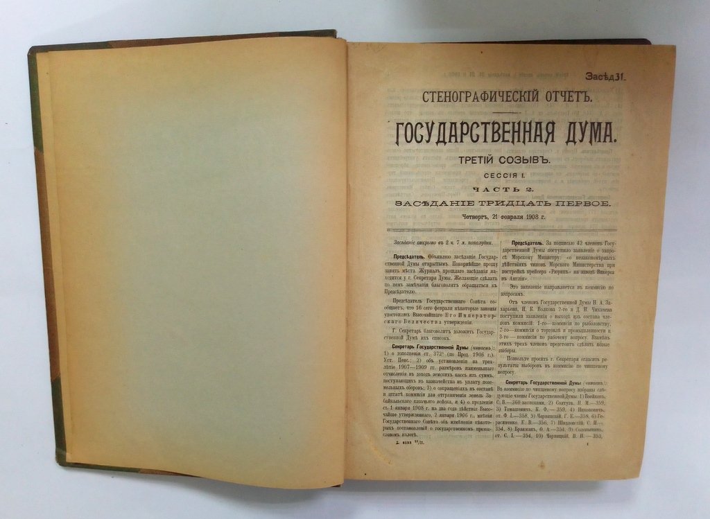 Стенографический отчет.
