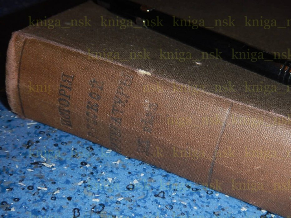 История русской литературы 19 века. Том 2. Часть вторая.