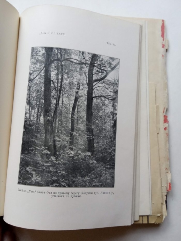 Флеров А.Ф. Окская флора : в 3 ч. Ч. 3: Собственные исследования.