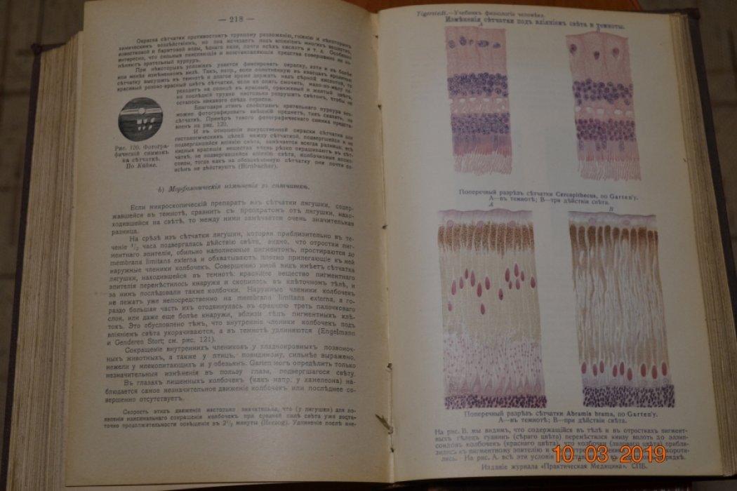 Robert Tigerstedt. Учебник физиологии человека. 2 тома в одном переплете.