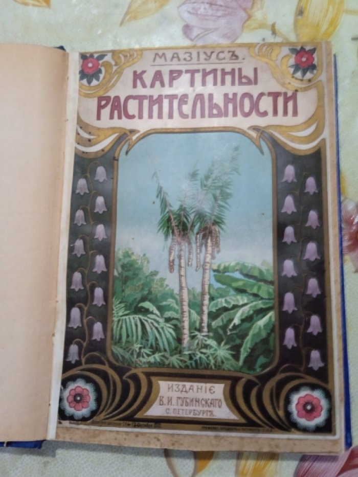 Мазиус. Картины растительности.