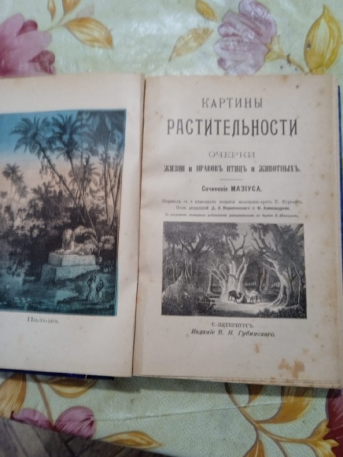 Мазиус. Картины растительности.