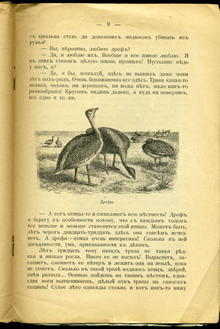 Чеглок А. Устыдили. (Про дроф).
