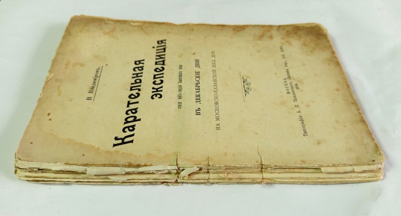 Владимиров, В. Карательная экспедиция отряда лейб-гвардии.