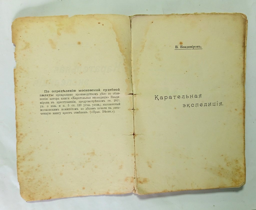 Владимиров, В. Карательная экспедиция отряда лейб-гвардии.
