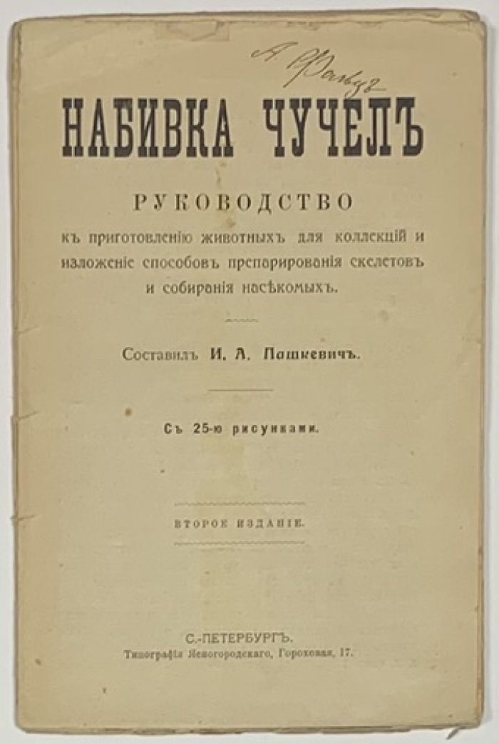 Пашкевич И.А. Набивка чучел.