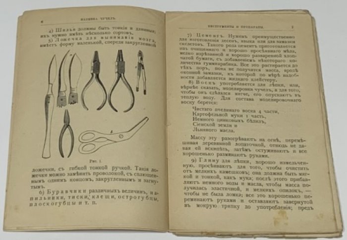 Пашкевич И.А. Набивка чучел.