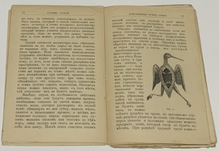Пашкевич И.А. Набивка чучел.
