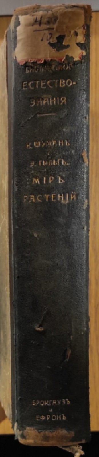 Шуман К. Гильг Э. Мир растений.
