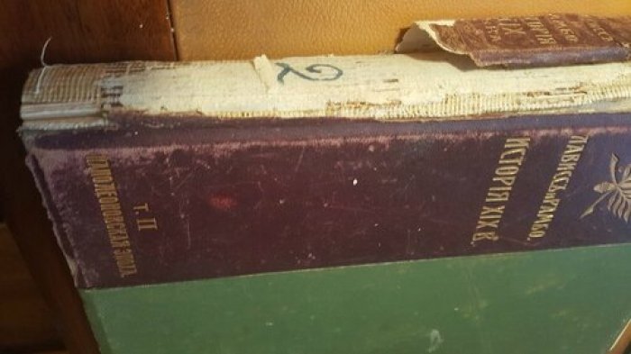 Лависс и Рамбо. История XIX века. (Западная Европа и внеевропейские государства). Том 2.