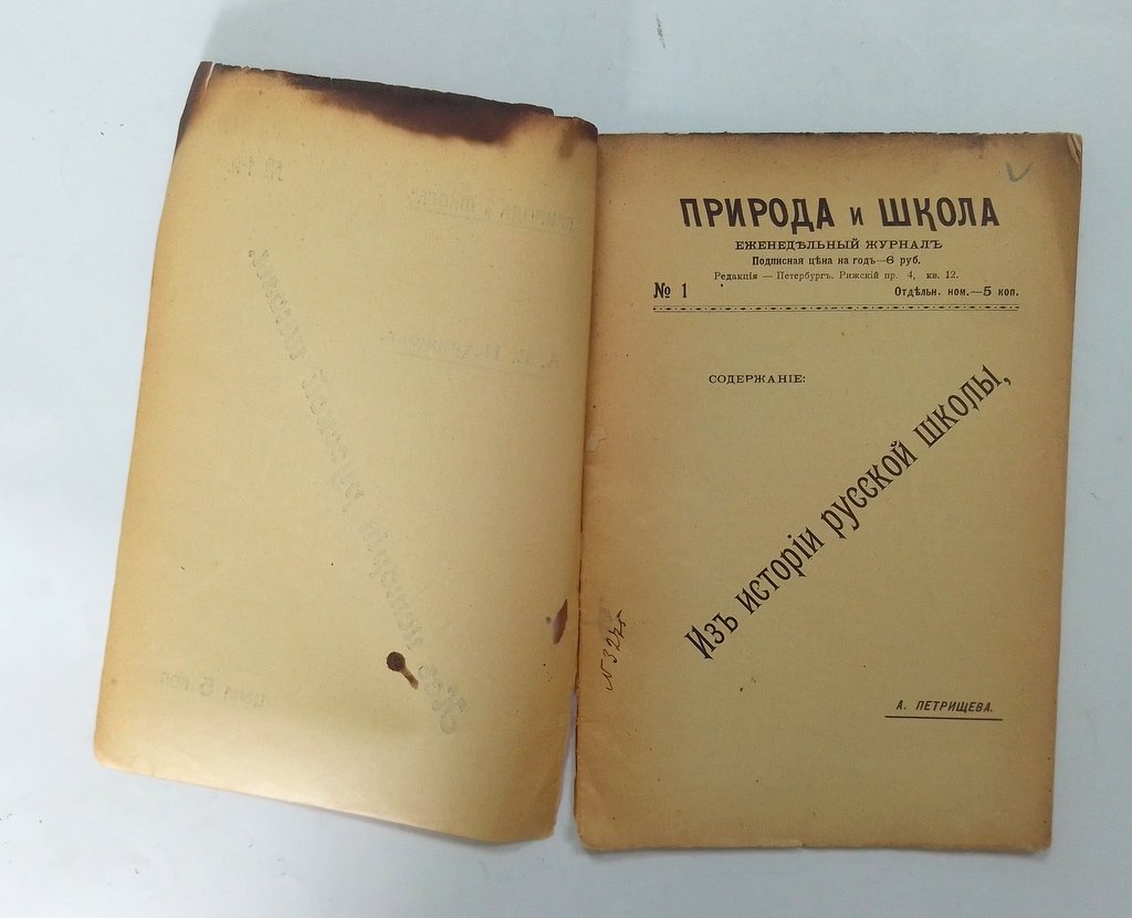 Петрищев, А.Б. К истории русской школы.