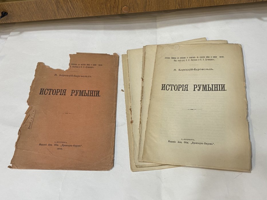 Борецкий-Бергфельд Н. История Румынии.