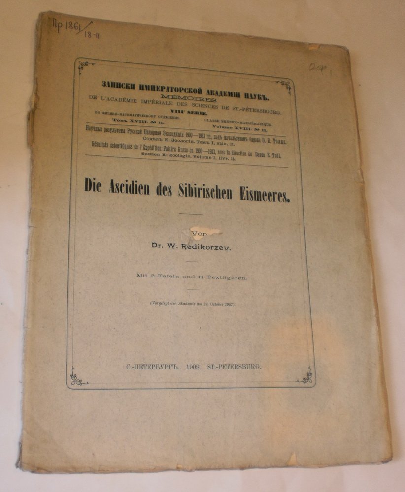 Redikorcev, W. Аскидии Сибирского Ледовитого океана (Die Ascidien des Sibirischen Eismeeres).