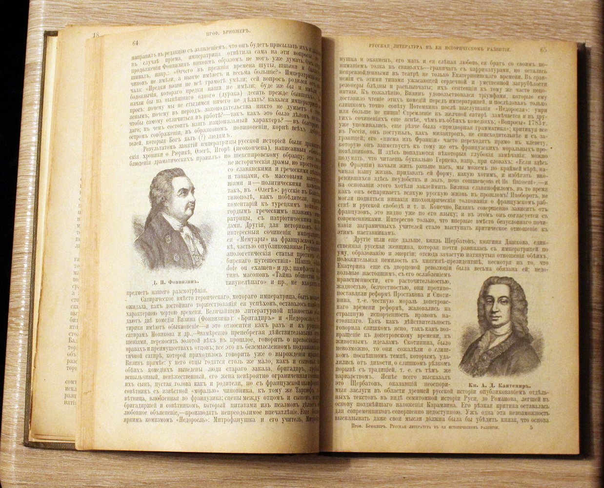 Проф. Брюкнер. Русская литература в ее историческом развитии.