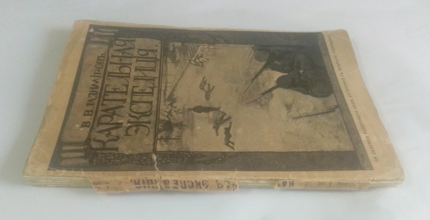 Владимиров, В. Карательная экспедиция.