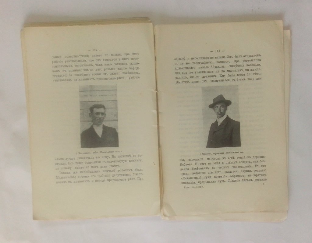 Владимиров, В. Карательная экспедиция.
