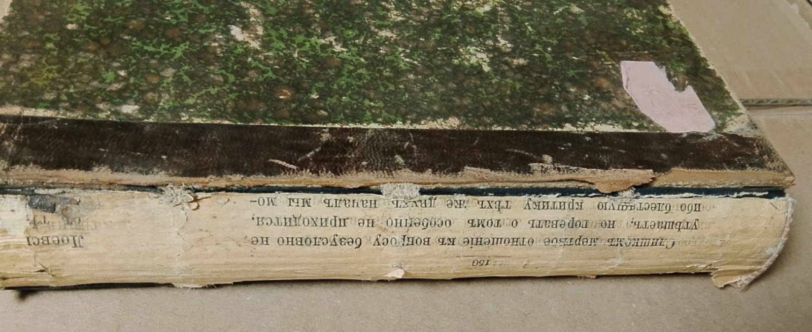 Платтер Ю. Основные учения политической экономии. Том II.