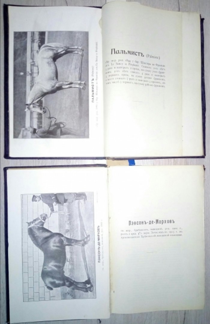 Журнал коннозаводства. №4 (апрель) - № 9 (сентябрь) за 1906 год. 6 номеров в двух переплетах