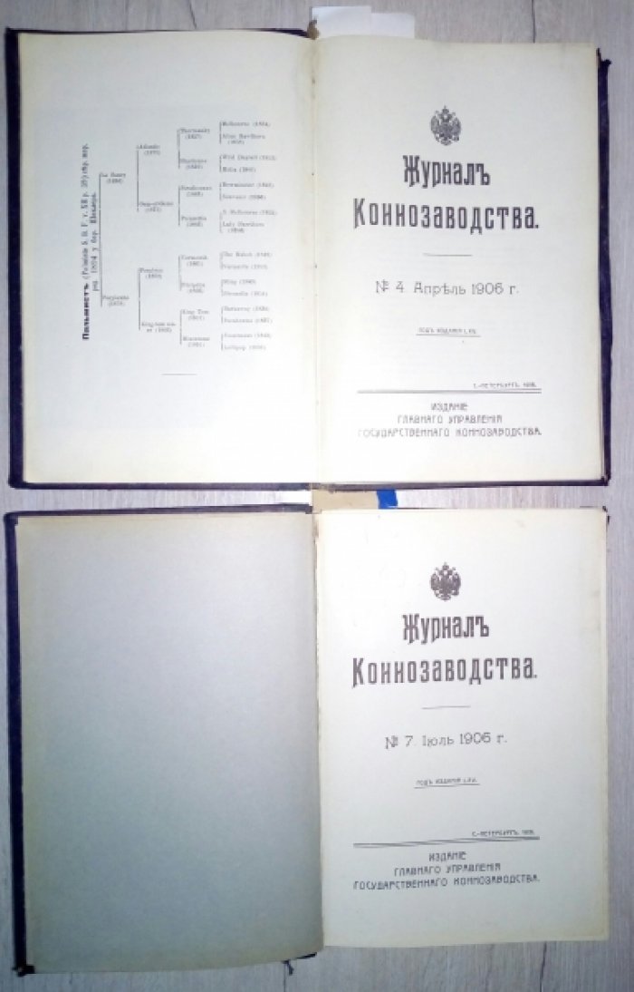 Журнал коннозаводства. №4 (апрель) - № 9 (сентябрь) за 1906 год. 6 номеров в двух переплетах