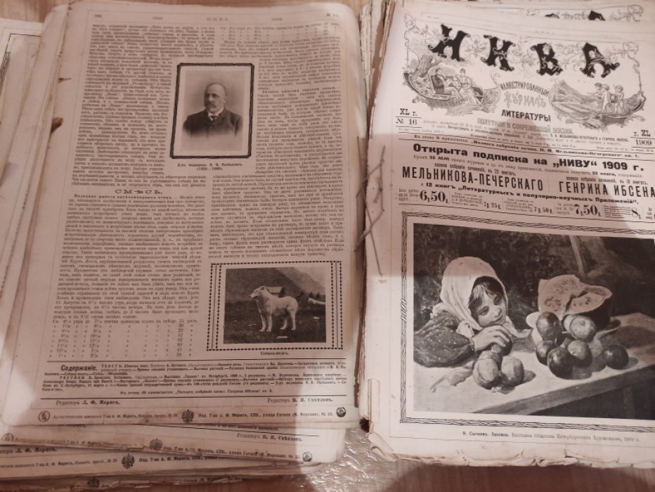 Нива. Иллюстрированный журнал литературы и современной жизни 1909 год.