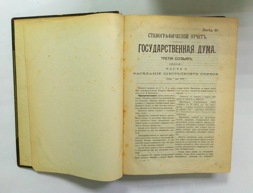 Стенографический отчет.