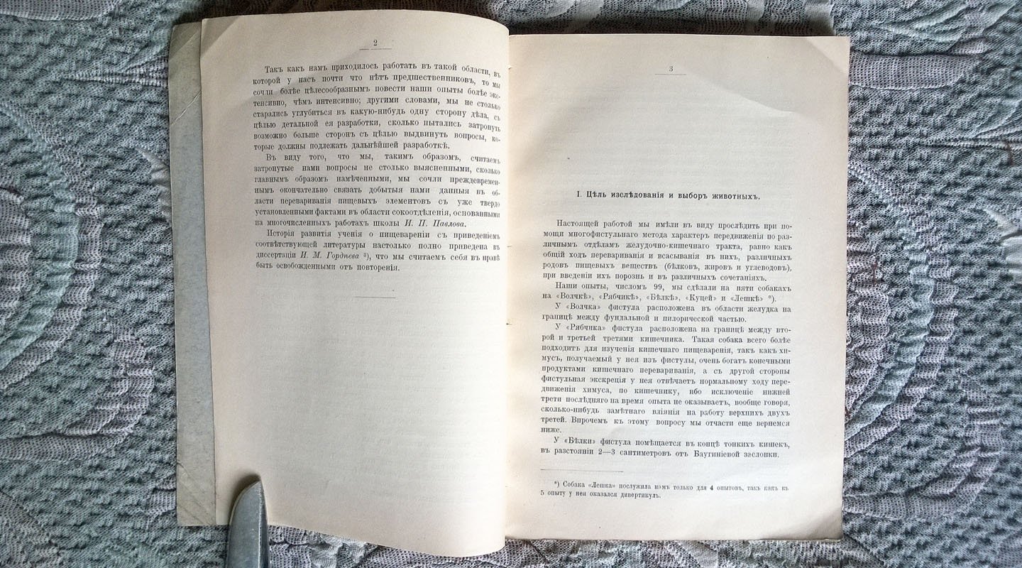 Сивре А.В. К учению о переваривании в желудочно-кишечном канале белков, жиров и углеводов при даче их порознь и в различных сочетаниях (Экспериментальное исследование).