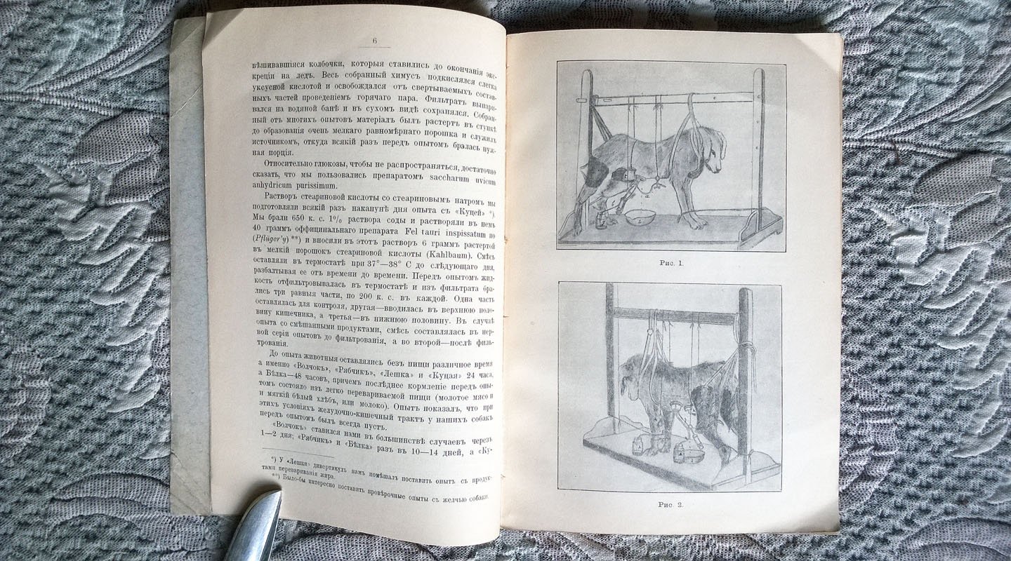 Сивре А.В. К учению о переваривании в желудочно-кишечном канале белков, жиров и углеводов при даче их порознь и в различных сочетаниях (Экспериментальное исследование).